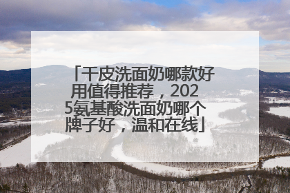 干皮洗面奶哪款好用值得推荐，2025氨基酸洗面奶哪个牌子好，温和在线