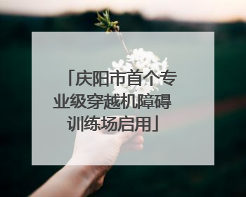 庆阳市首个专业级穿越机障碍训练场启用