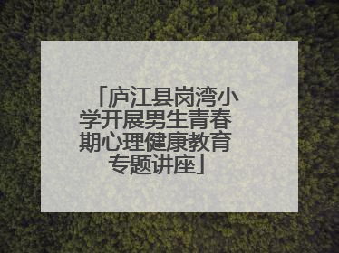 庐江县岗湾小学开展男生青春期心理健康教育专题讲座