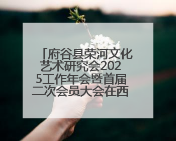 府谷县荣河文化艺术研究会2025工作年会暨首届二次会员大会在西安召开