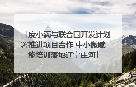 度小满与联合国开发计划署推进项目合作 中小微赋能培训落地辽宁庄河
