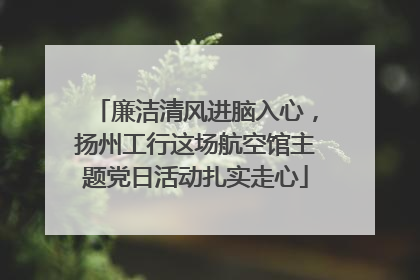 廉洁清风进脑入心，扬州工行这场航空馆主题党日活动扎实走心