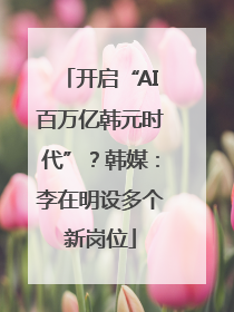 开启“AI百万亿韩元时代”？韩媒：李在明设多个新岗位