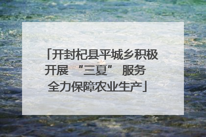 开封杞县平城乡积极开展 “三夏” 服务 全力保障农业生产