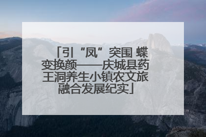 引“凤”突围 蝶变换颜——庆城县药王洞养生小镇农文旅融合发展纪实