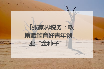 张家界税务：政策赋能育好青年创业“金种子”