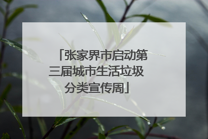 张家界市启动第三届城市生活垃圾分类宣传周