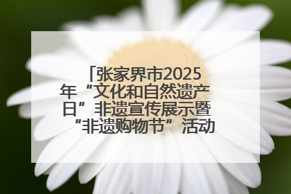 张家界市2025年“文化和自然遗产日”非遗宣传展示暨“非遗购物节”活动在慈利县盛大启幕