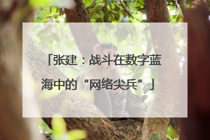 张建：战斗在数字蓝海中的“网络尖兵”