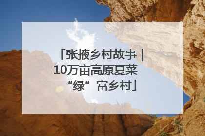 张掖乡村故事｜10万亩高原夏菜“绿”富乡村