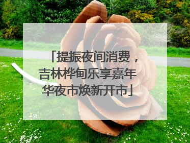 提振夜间消费，吉林桦甸乐享嘉年华夜市焕新开市