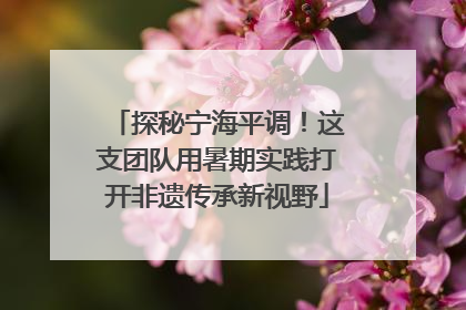 探秘宁海平调！这支团队用暑期实践打开非遗传承新视野