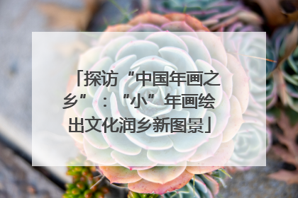 探访“中国年画之乡”：“小”年画绘出文化润乡新图景