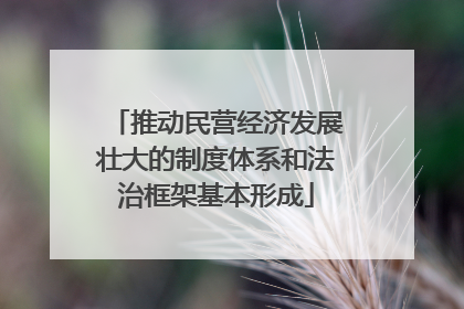 推动民营经济发展壮大的制度体系和法治框架基本形成