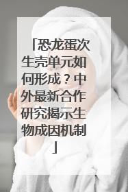 恐龙蛋次生壳单元如何形成？中外最新合作研究揭示生物成因机制