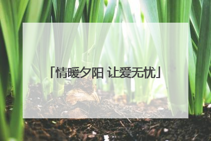 情暖夕阳 让爱无忧