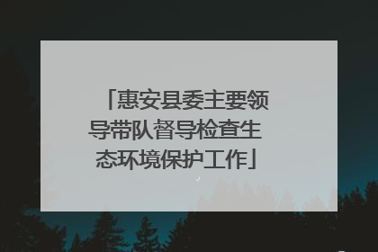 惠安县委主要领导带队督导检查生态环境保护工作