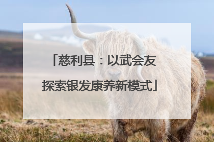 慈利县：以武会友 探索银发康养新模式