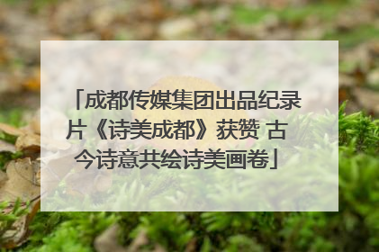 成都传媒集团出品纪录片《诗美成都》获赞 古今诗意共绘诗美画卷