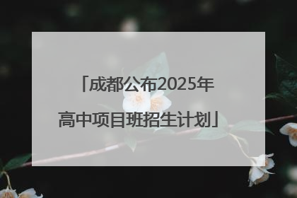 成都公布2025年高中项目班招生计划