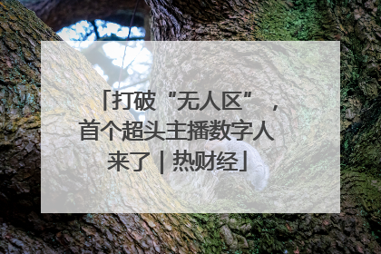 打破“无人区”，首个超头主播数字人来了｜热财经