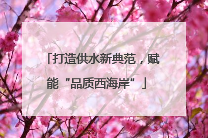 打造供水新典范，赋能“品质西海岸”