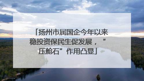 扬州市属国企今年以来稳投资保民生促发展，“压舱石”作用凸显