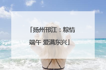 扬州邗江：粽情端午 爱满东兴