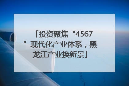 投资聚焦“4567”现代化产业体系，黑龙江产业换新景