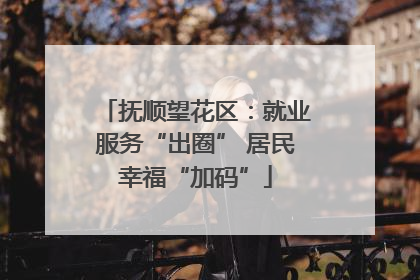 抚顺望花区：就业服务“出圈” 居民幸福“加码”