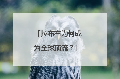 拉布布为何成为全球顶流？