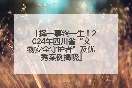 择一事终一生！2024年四川省“文物安全守护者”及优秀案例揭晓