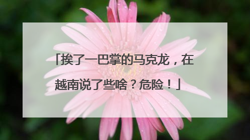 挨了一巴掌的马克龙，在越南说了些啥？危险！