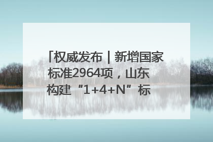 权威发布｜新增国家标准2964项，山东构建“1+4+N”标准化创新发展新格局