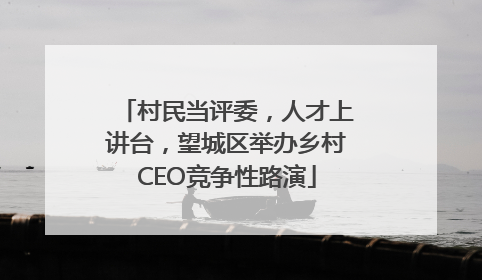 村民当评委，人才上讲台，望城区举办乡村CEO竞争性路演