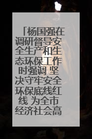 杨国强在调研督导安全生产和生态环保工作时强调 坚决守牢安全环保底线红线 为全市经济社会高质量发展提供坚强保障