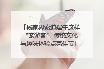 杨家界索道端午这样“宠游客” 传统文化与趣味体验点亮佳节
