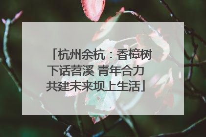 杭州余杭：香樟树下话苕溪 青年合力共建未来坝上生活