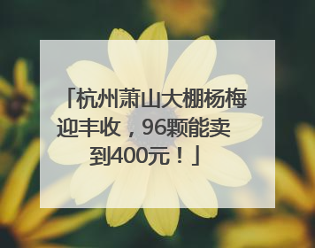 杭州萧山大棚杨梅迎丰收，96颗能卖到400元！