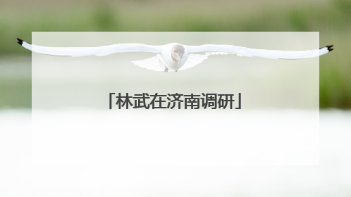 林武在济南调研