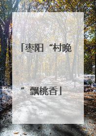 枣阳“村晚”飘桃香