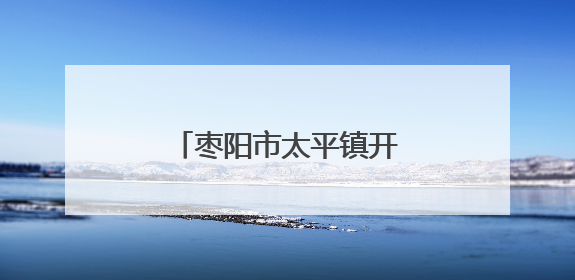 枣阳市太平镇开展“户户走到”一线解民忧活动