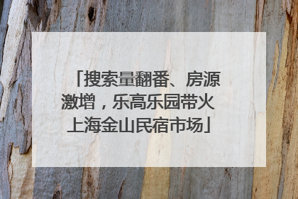 搜索量翻番、房源激增，乐高乐园带火上海金山民宿市场