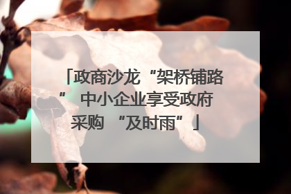政商沙龙“架桥铺路” 中小企业享受政府采购 “及时雨”