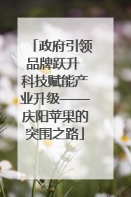 政府引领品牌跃升 科技赋能产业升级——庆阳苹果的突围之路
