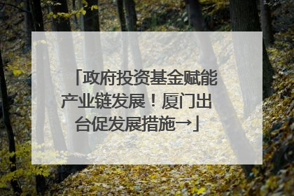 政府投资基金赋能产业链发展！厦门出台促发展措施→