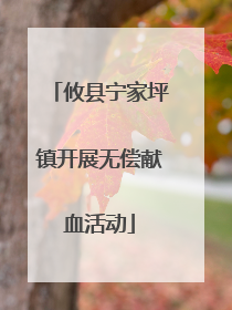 攸县宁家坪镇开展无偿献血活动