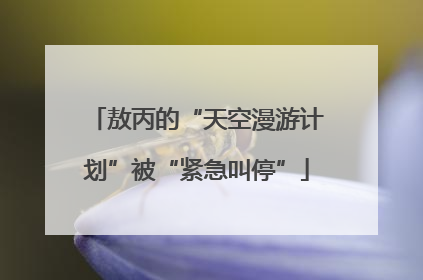 敖丙的“天空漫游计划”被“紧急叫停”