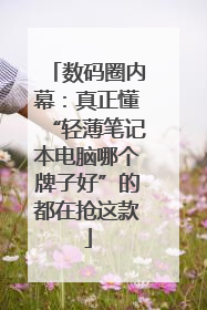 数码圈内幕：真正懂“轻薄笔记本电脑哪个牌子好”的都在抢这款