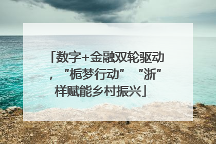 数字+金融双轮驱动，“栀梦行动”“浙”样赋能乡村振兴
